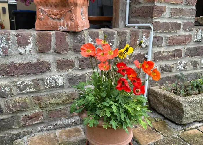 Doros Ferienoase 黑措根拉特